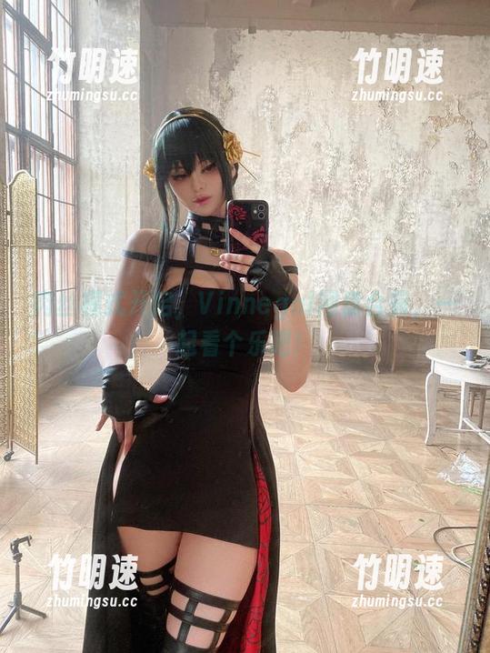 肉丝模式开启，Vinnegal网盘合辑，一起看个乐吧！